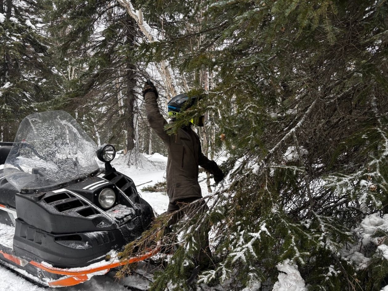 Петр Овчинников