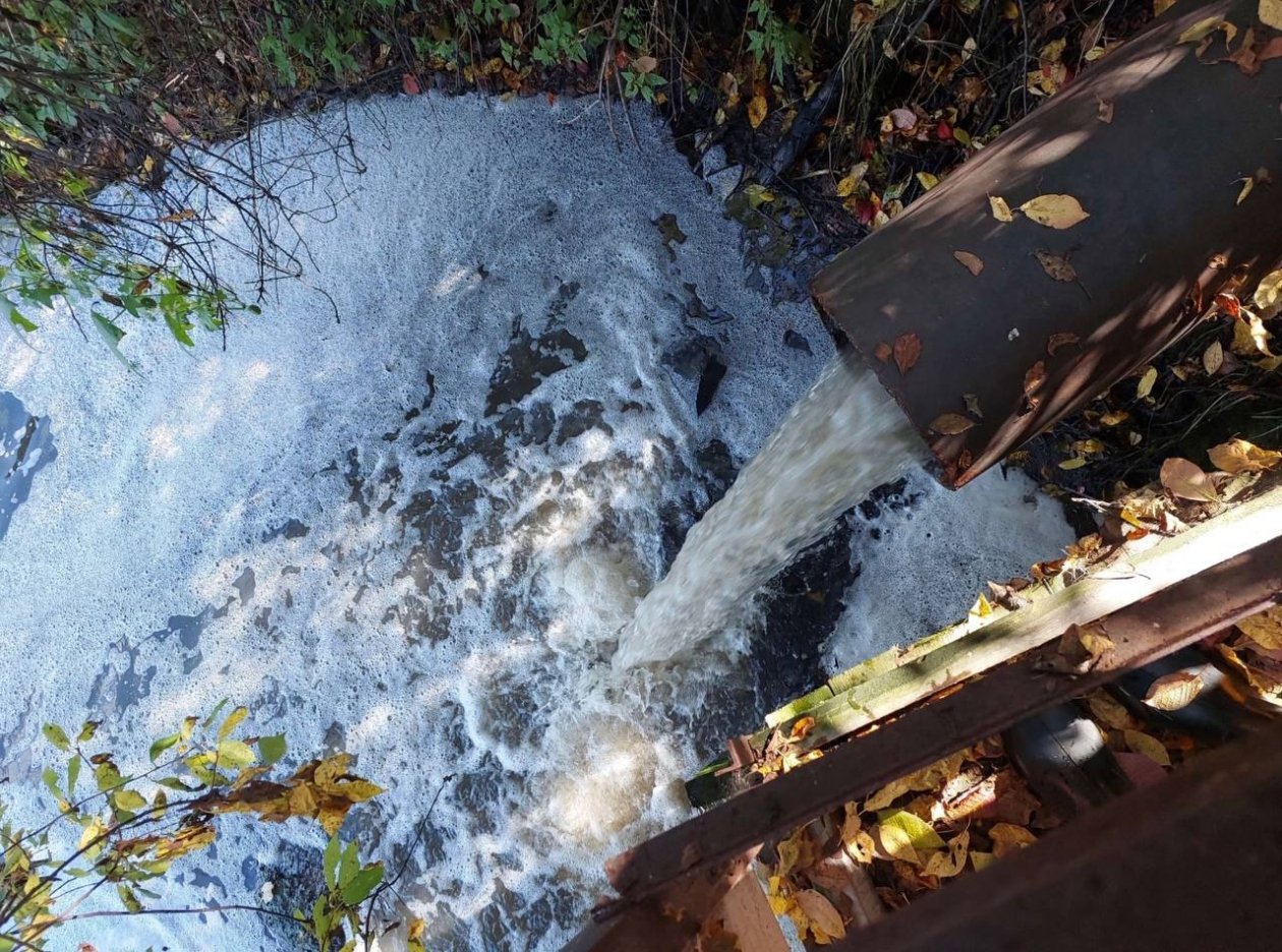 . пресс-служба прокуратуры Красноярского края