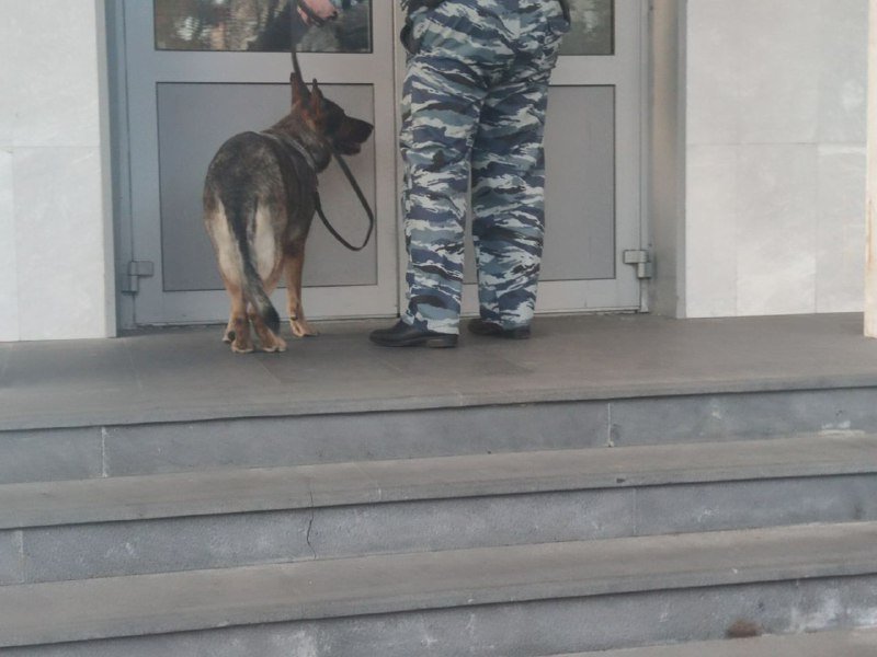 Сообщение о минировании техникума поступило в Ессентуках ИА Stavropol.Media