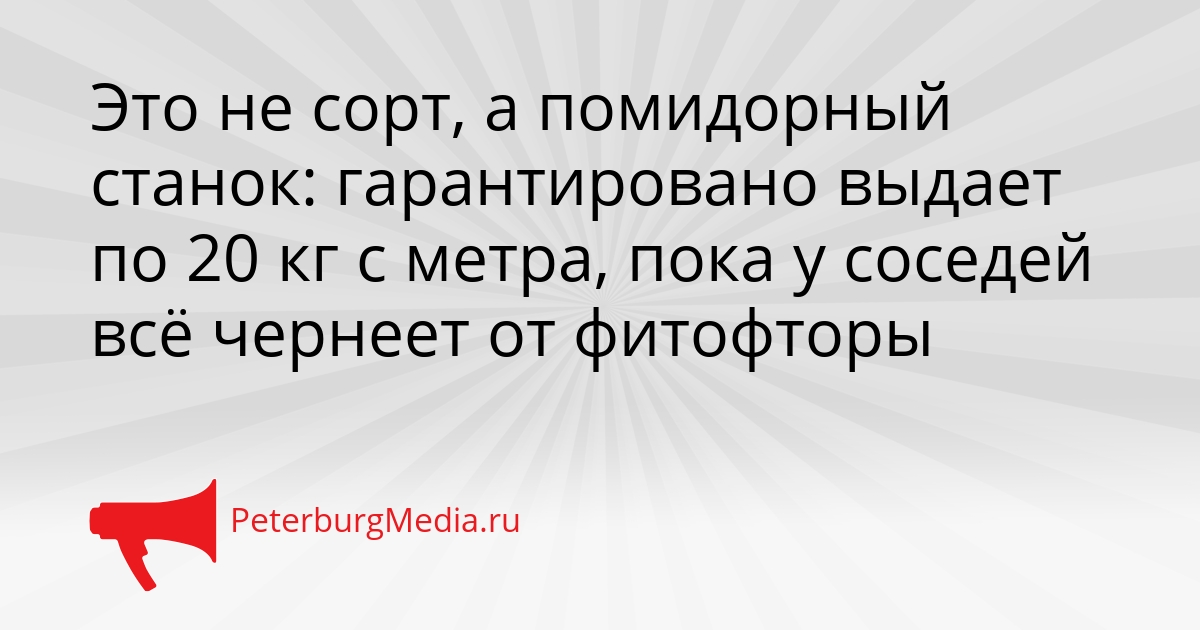 Это не сорт, а помидорный станок: гарантировано выдает по 20 кг с метра, пока у соседей всё чернеет от фитофторы Сгенерировано