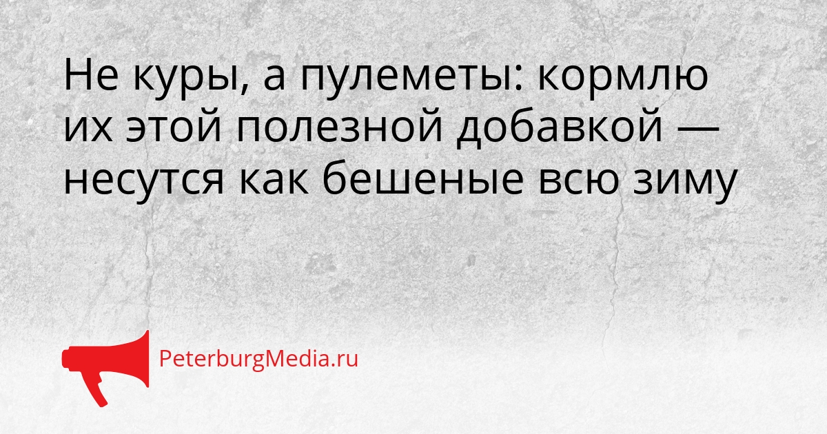 Не куры, а пулеметы: кормлю их этой полезной добавкой — несутся как бешеные всю зиму Сгенерировано