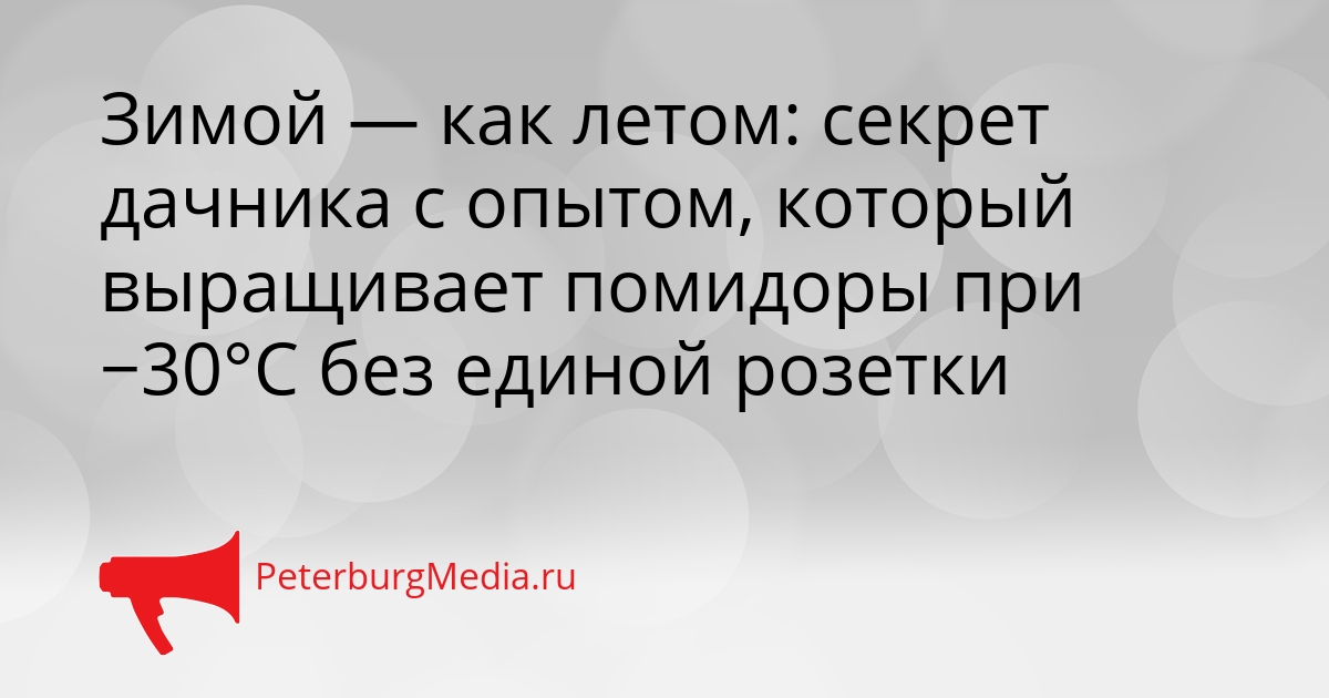 Зимой — как летом: секрет дачника с опытом, который выращивает помидоры при −30°C без единой розетки Сгенерировано