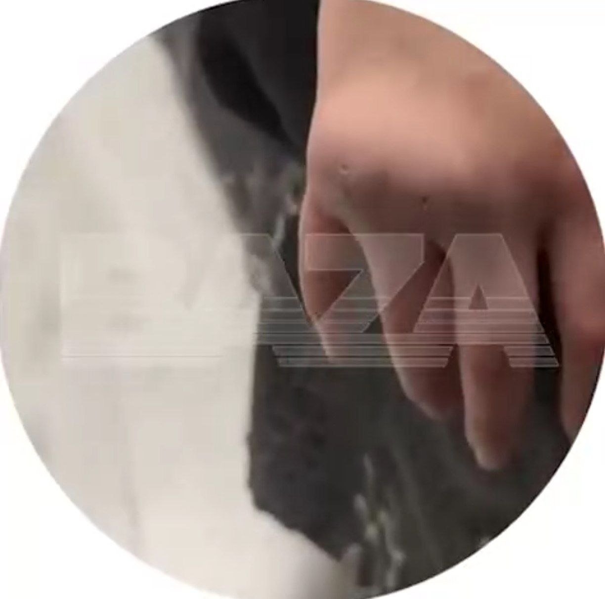 Треш-стримеры держат в плену девушку в Краснодаре и зарабатывают на издевательствах телеграм-канал &quotBAZA&quot (18+)