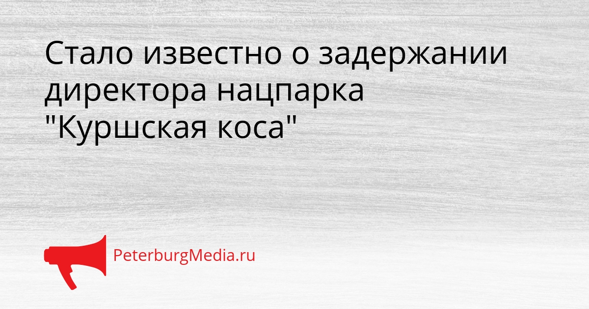 Стало известно о задержании директора нацпарка &quotКуршская коса&quot Сгенерировано