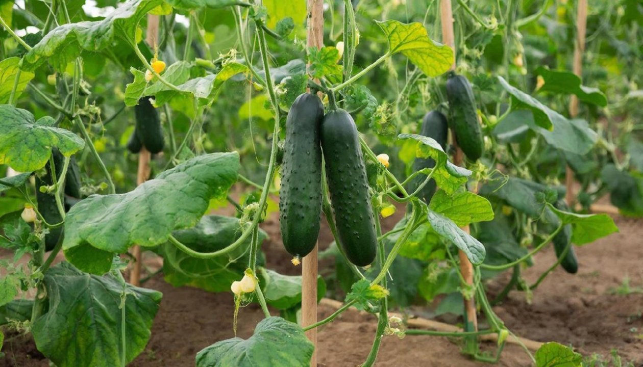 Изображение GigaChat (18+)