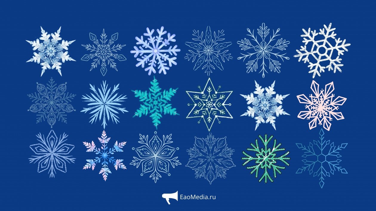 Тематическое фото ИА EAOMedia