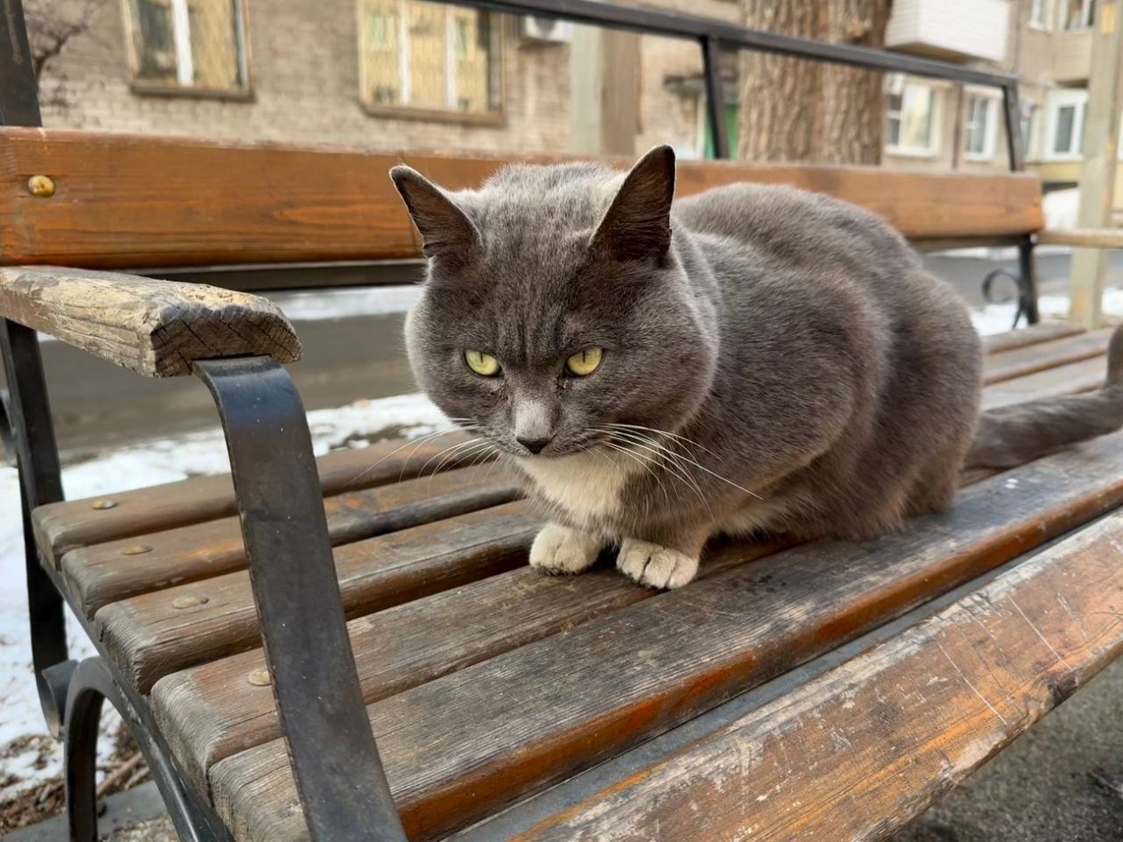 Холодно Марина Кудрявцева, ИА UssurMedia