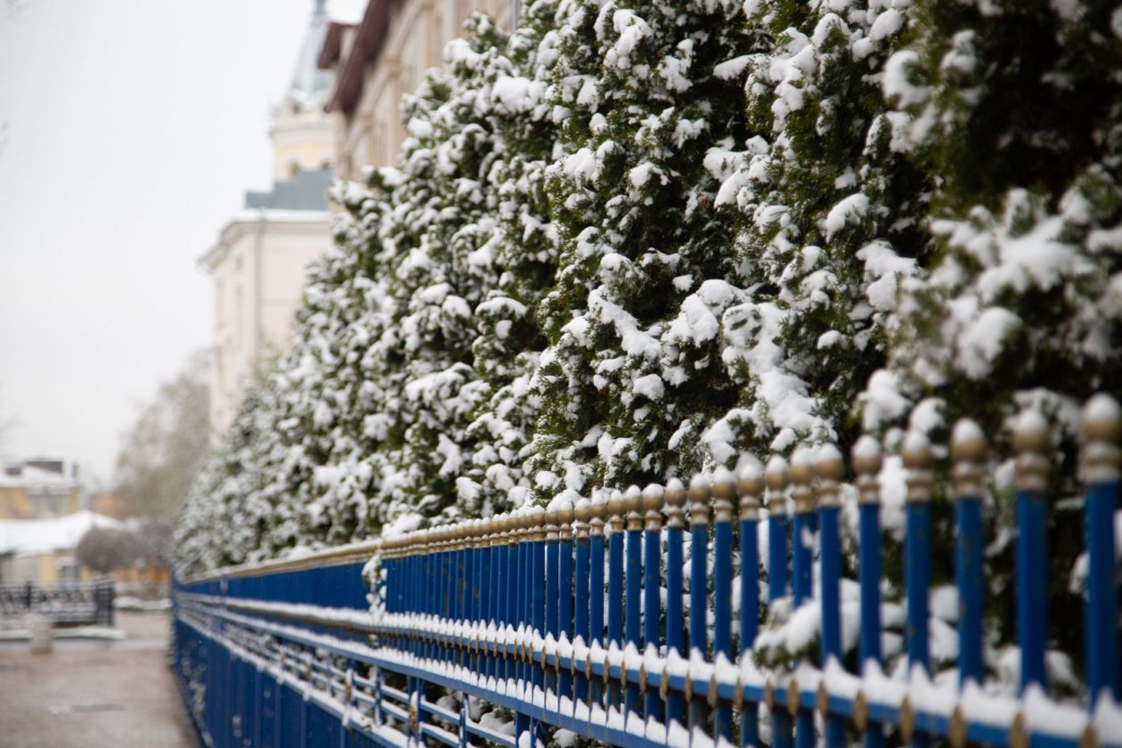 В России ожидается раннее потепление Артём Хорошилов  , ИА Stavropol.Media