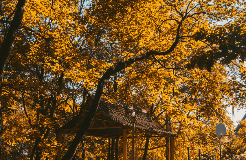 предоставлено героем публикации