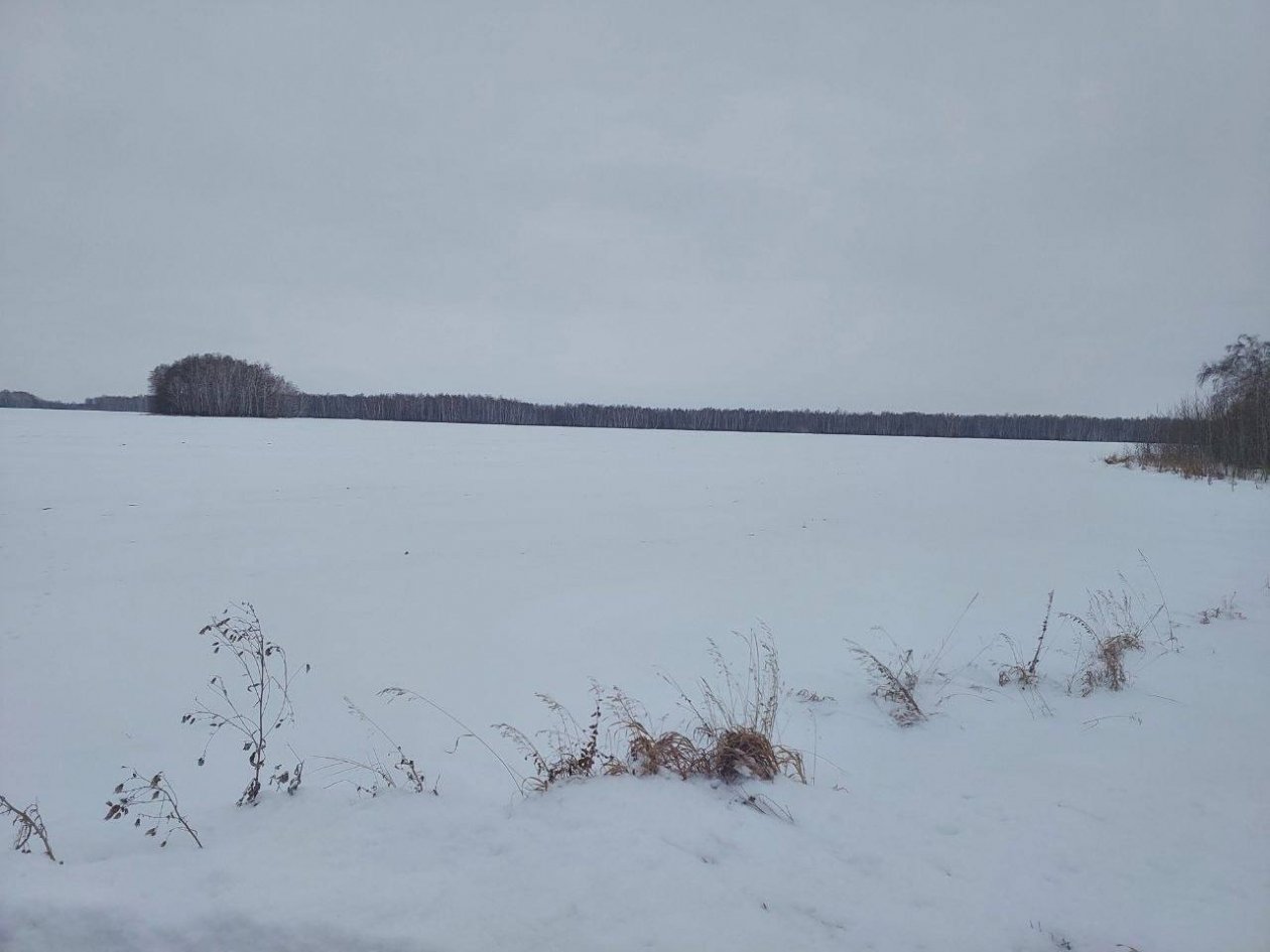 Тематическое фото региональная прокуратура