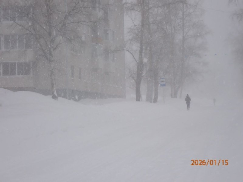 Тематическое фото администрация Николаевского района