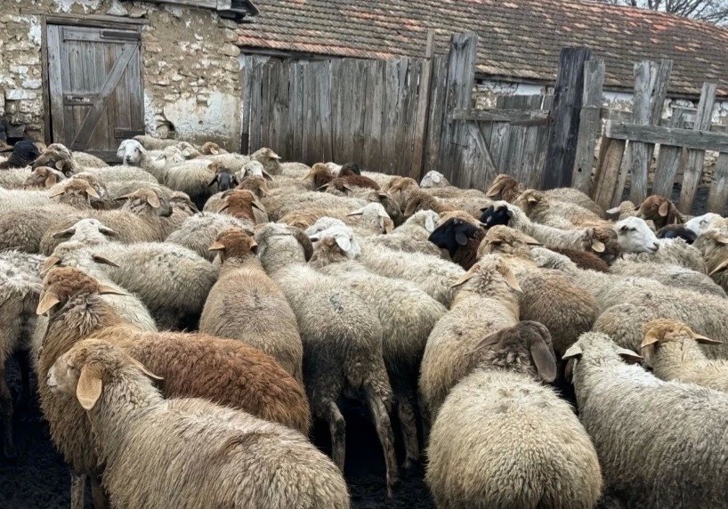 УФСБ по Ставрополью