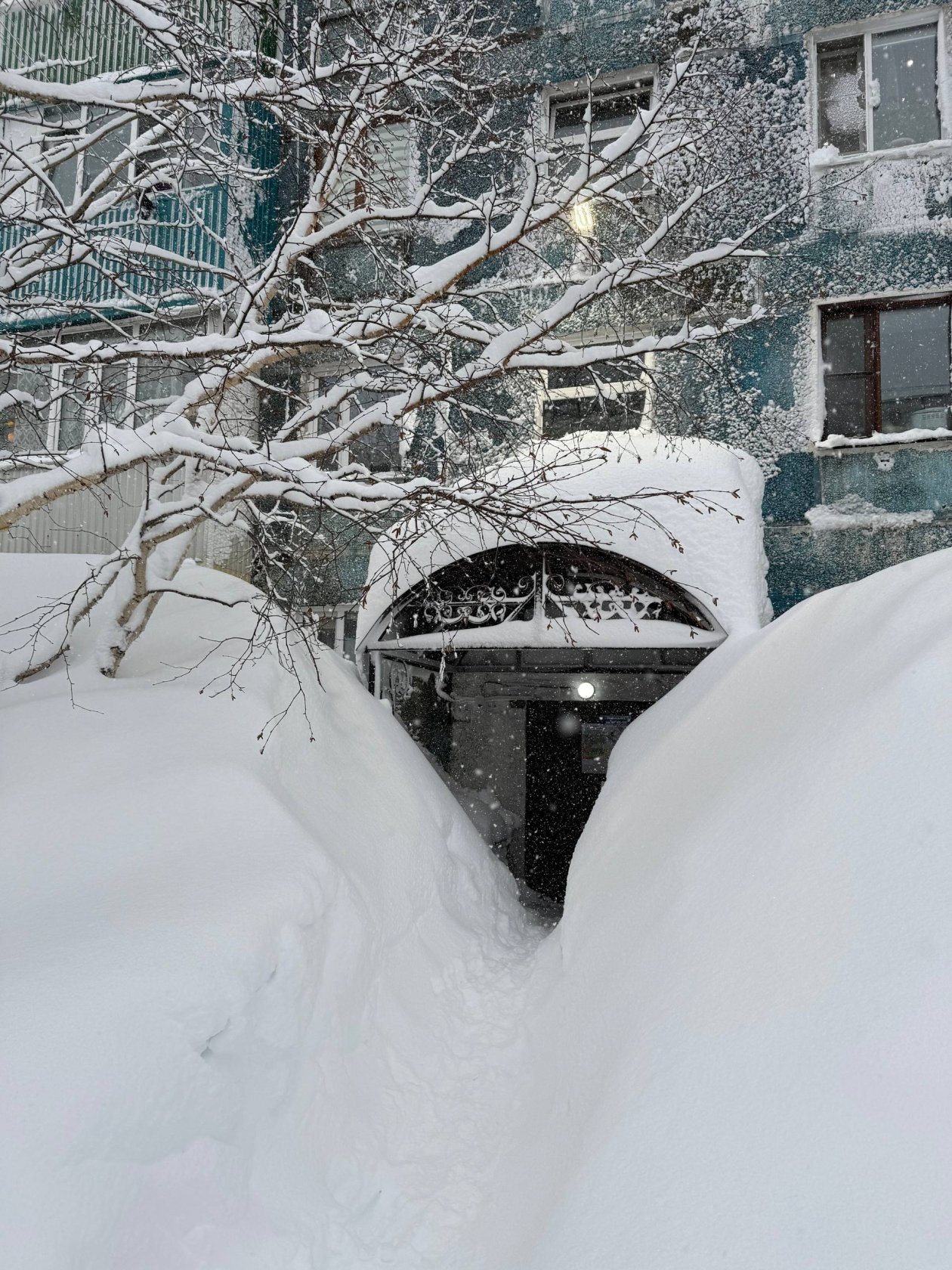 Снег Ольга Семёнова,  ИА KamchatkaMedia