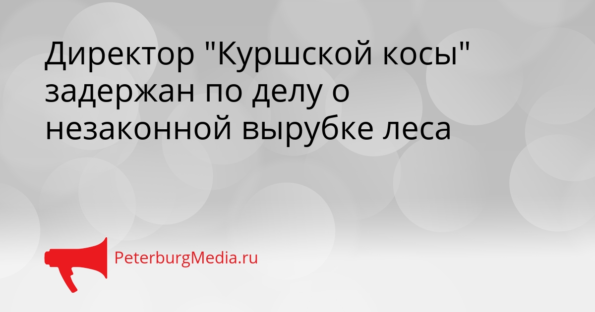 Директор &quotКуршской косы&quot задержан по делу о незаконной вырубке леса Сгенерировано