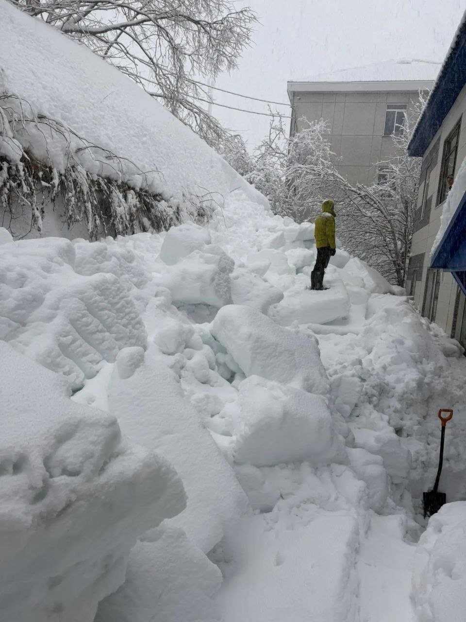 УМВД РФ по Камчатскому краю