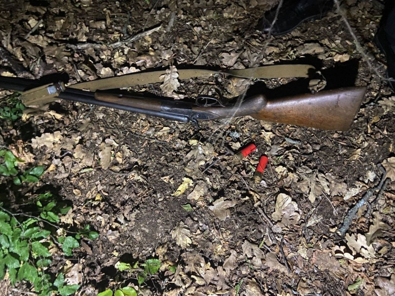 Браконьер стрелял в лесах Севприроднадзор