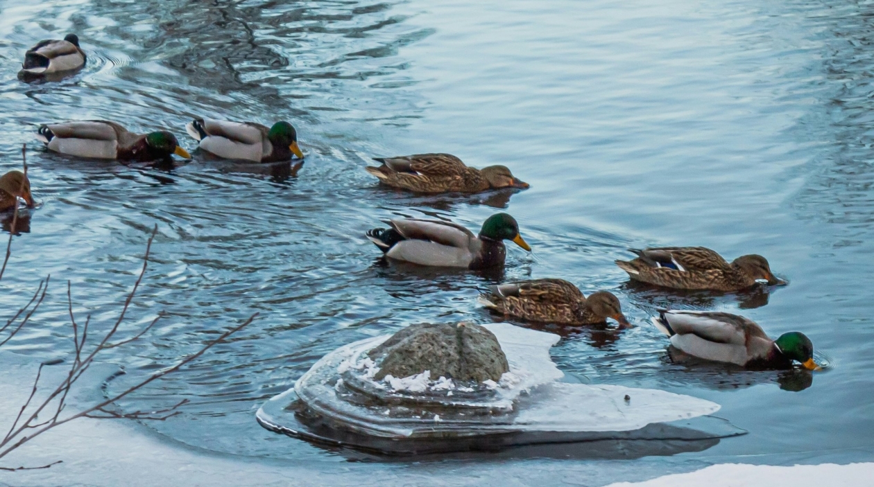 Тематическое фото unsplash.com