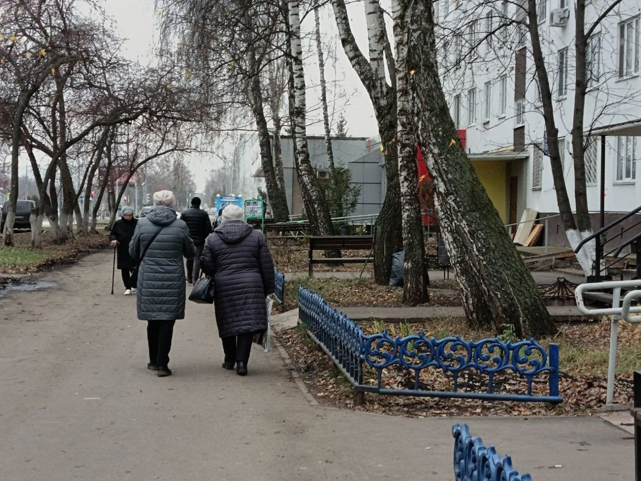 Только для пожилых: в 2026 году вводится абсолютно новая мера поддержки ИА StavropolMedia