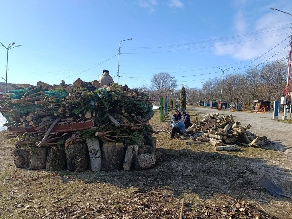 На костёр или животным: идеями, куда девать новогоднюю ёлку, поделились на Ставрополье телеграм-канал (18+) Владимира Крутникова