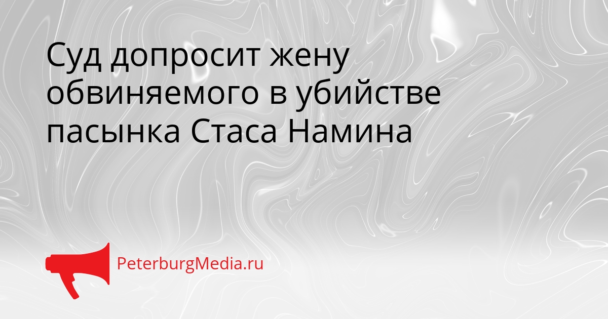 Суд допросит жену обвиняемого в убийстве пасынка Стаса Намина Сгенерировано