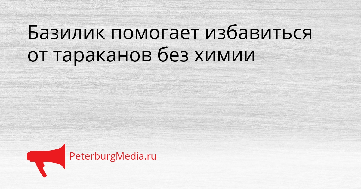 Базилик помогает избавиться от тараканов без химии Сгенерировано