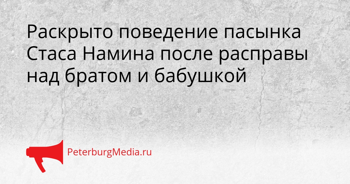 Раскрыто поведение пасынка Стаса Намина после расправы над братом и бабушкой Сгенерировано