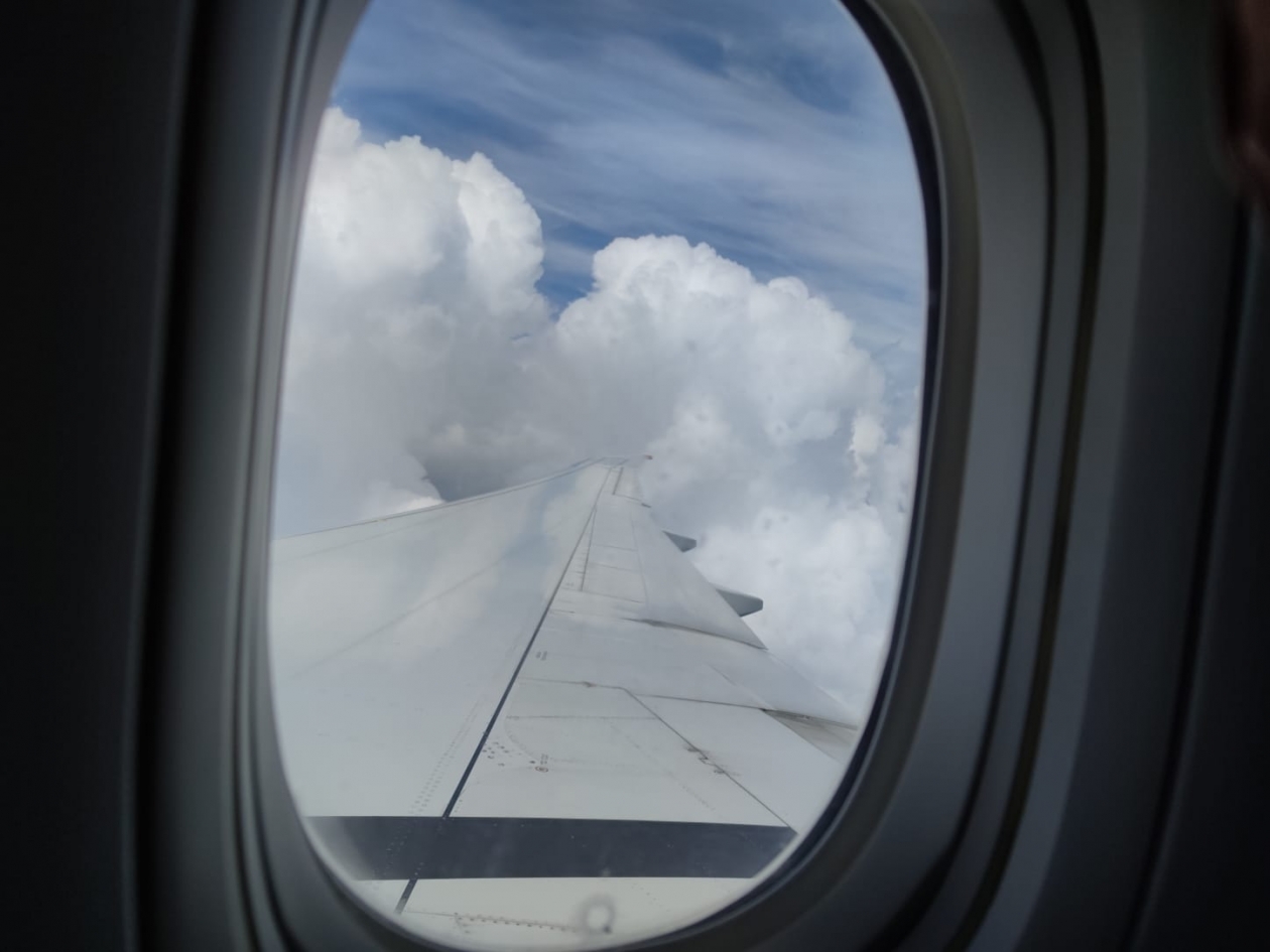 Аэропорт Сочи отменил плату за платформу регистрации после предупреждения ФАС Елена Гиневская