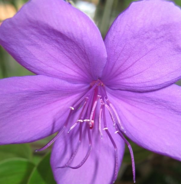 Тематическое фото Pxhere.com