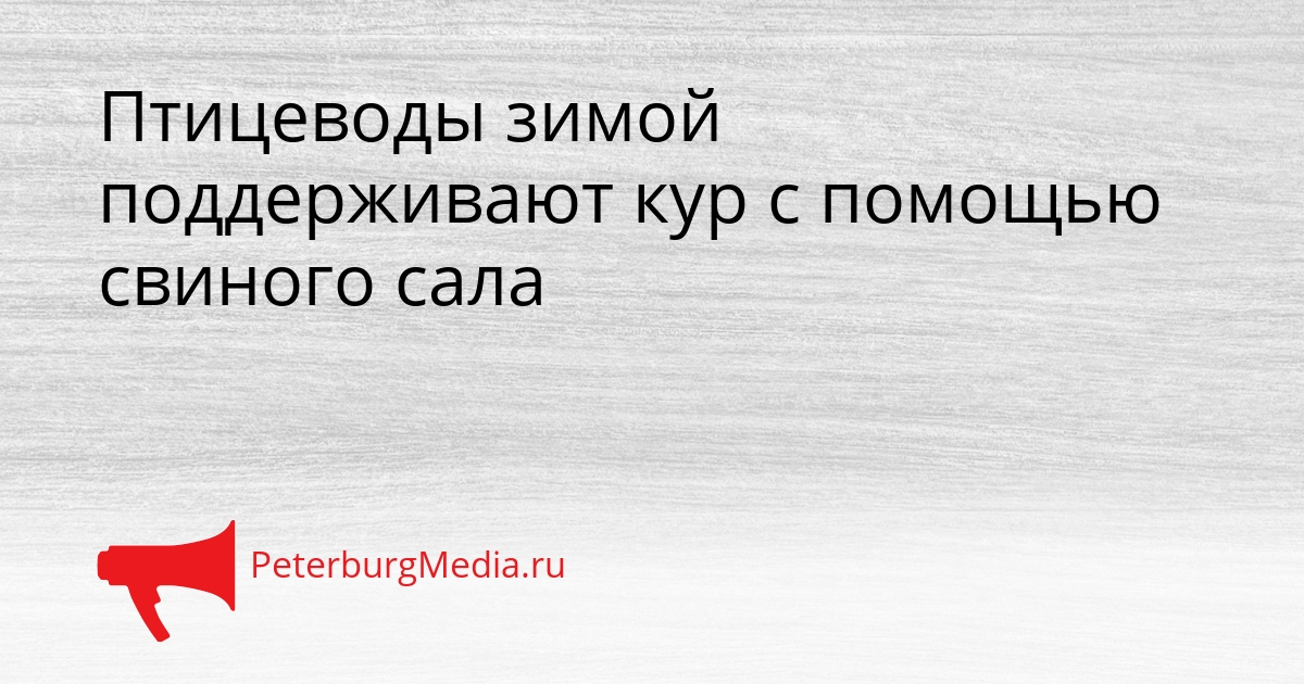 Птицеводы зимой поддерживают кур с помощью свиного сала Сгенерировано