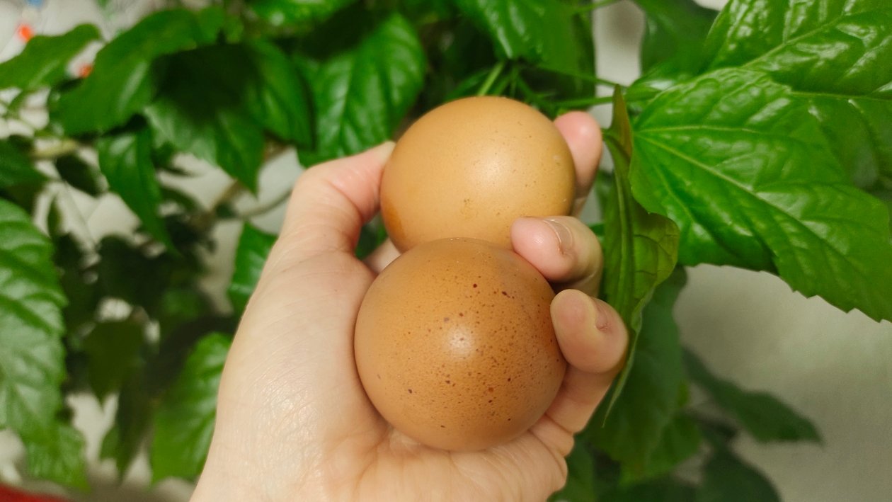 Яйца Автора