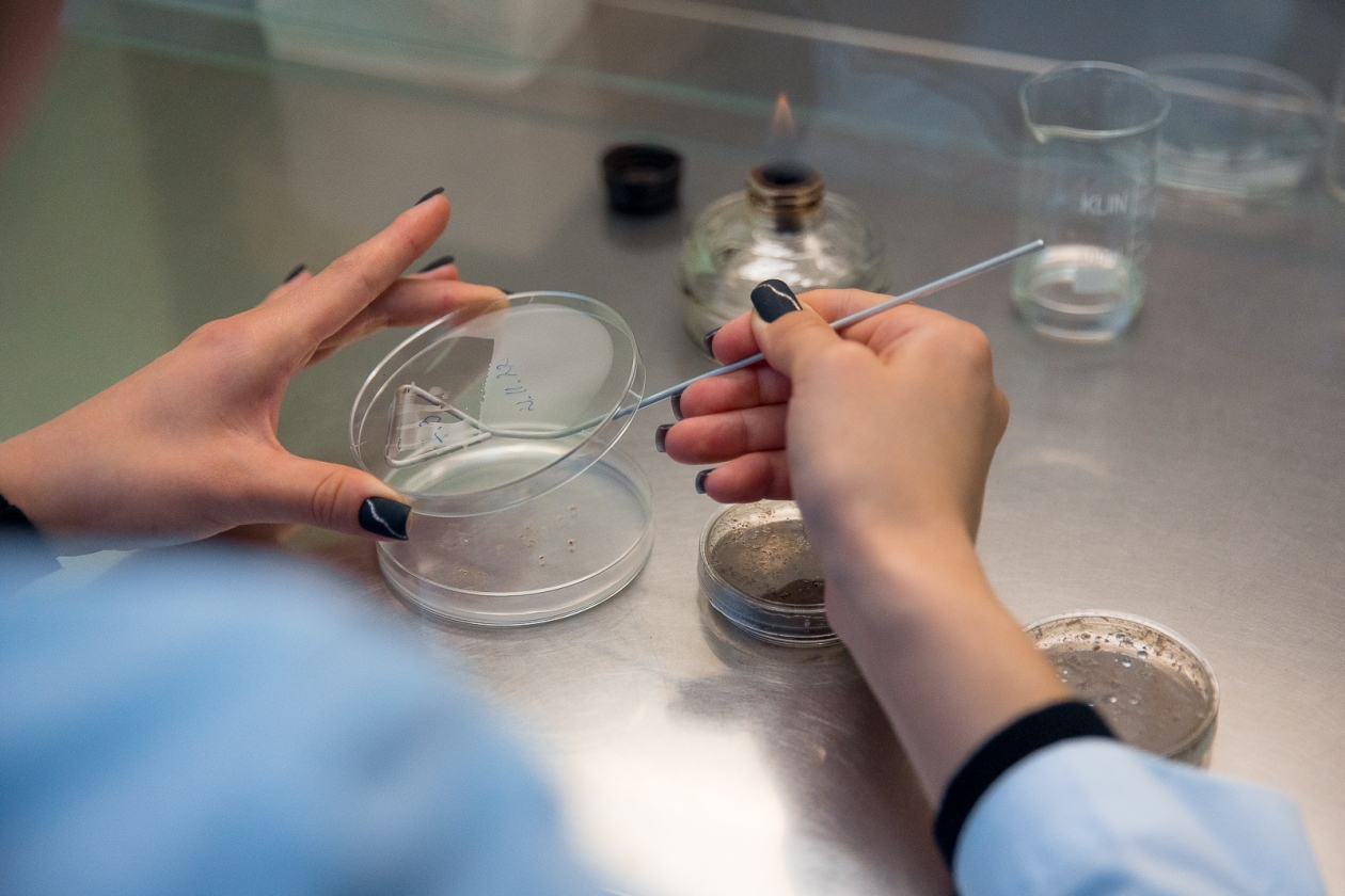 пробирка, пробирки, колба, анализ, анализы, лаборатория, исследование Илья Аверьянов, ИА PrimaMedia