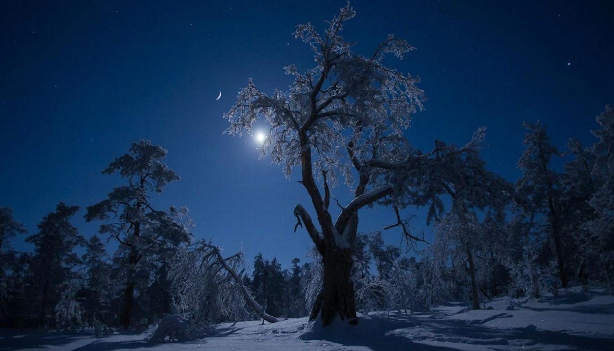 Изображение GigaChat (18+)