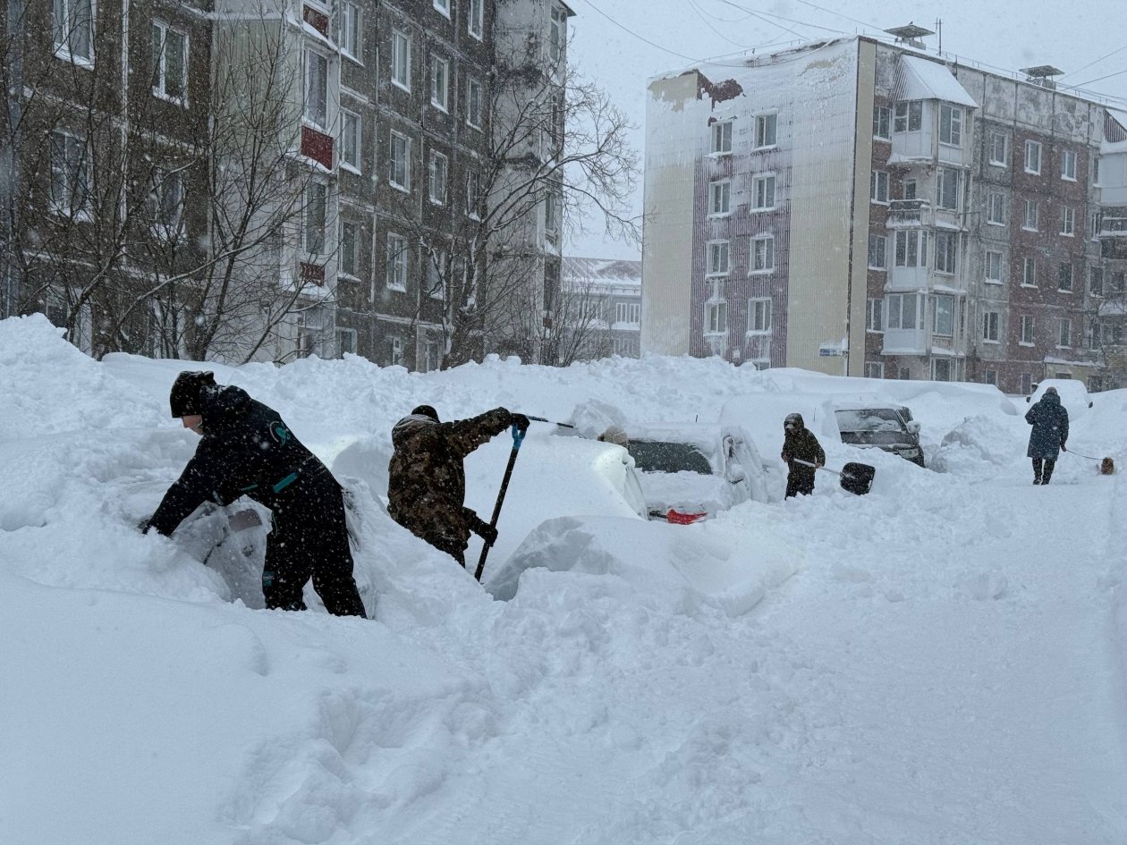 День лопаты на Камчатке Ольга Семёнова, ИА KamchatkaMedia