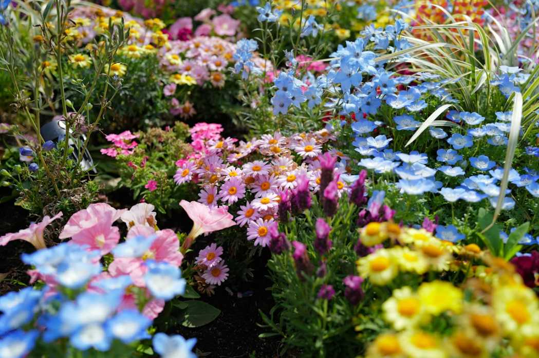 Тематическое фото unsplash.com