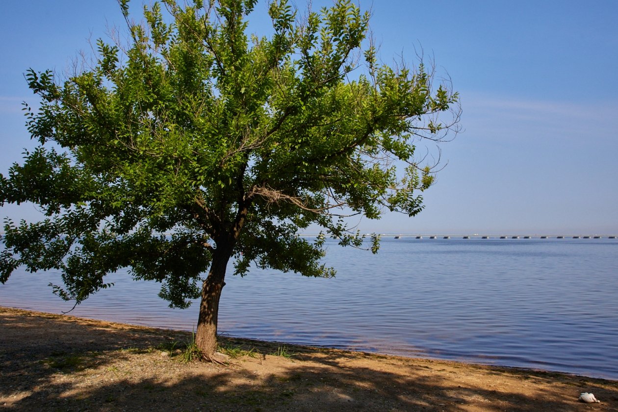 Не города, а рай на земле: куда россияне переезжают на пенсии: покой, хорошая экология и низкие цены Дмитрий Осипчук, ИА PrimaMedia.ru