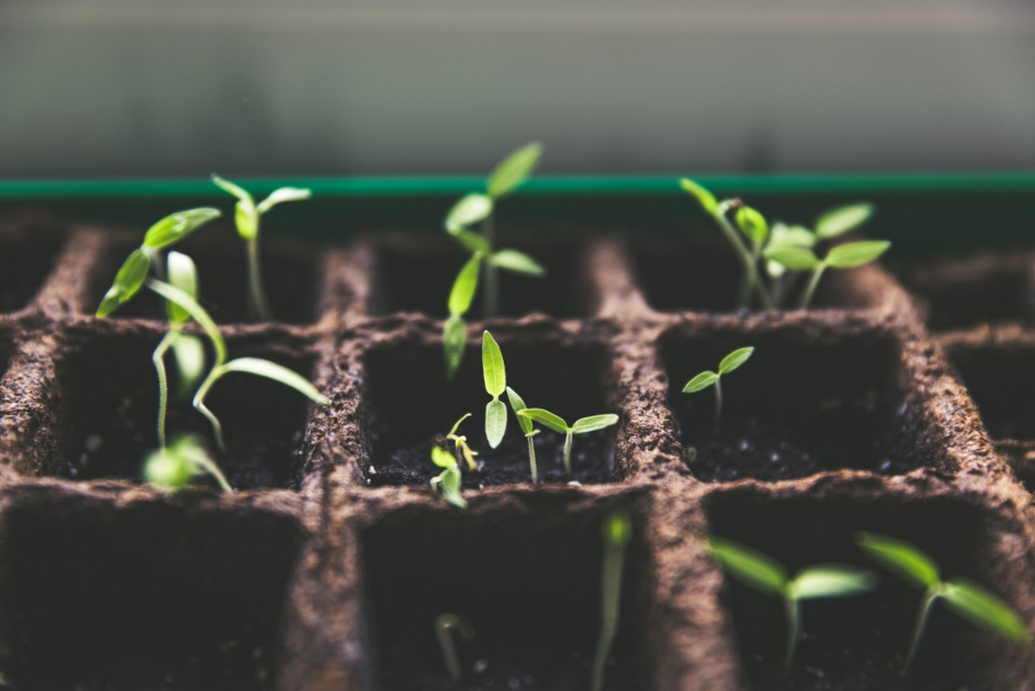 Тематическое фото Pxhere.com (18+).