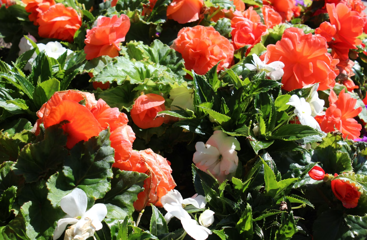 Тематическое фото unsplash.com (18+)