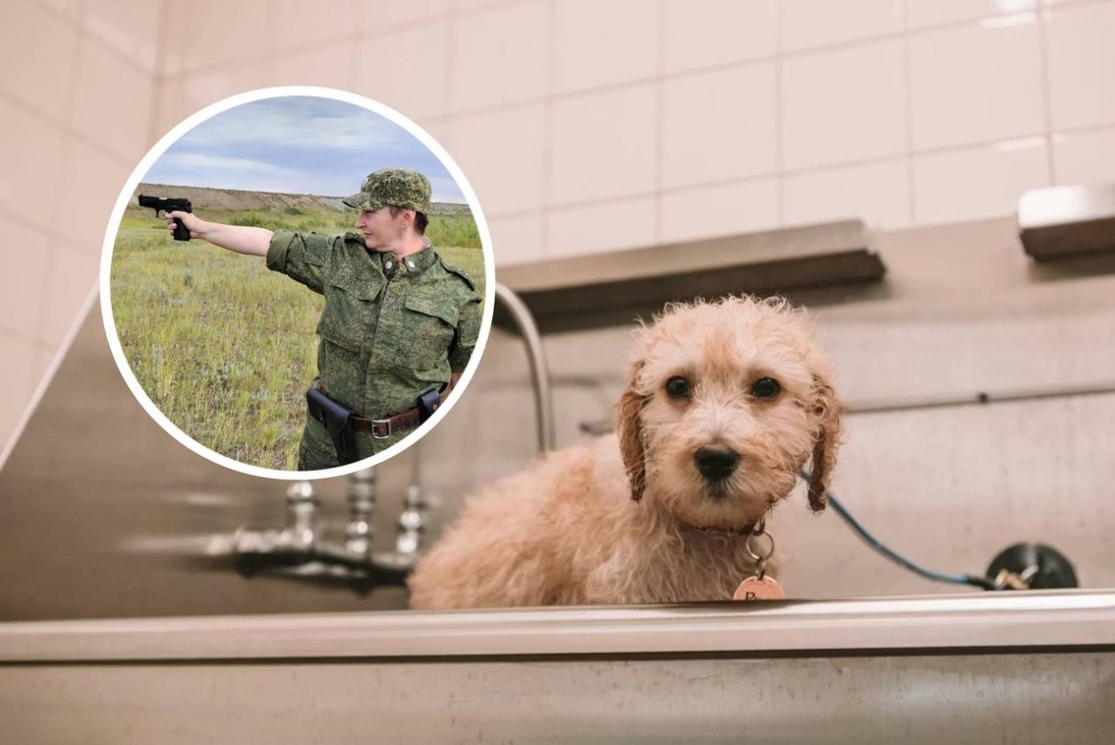 Путь из кинологов в грумеры unsplash.com, личный архив Анастасии