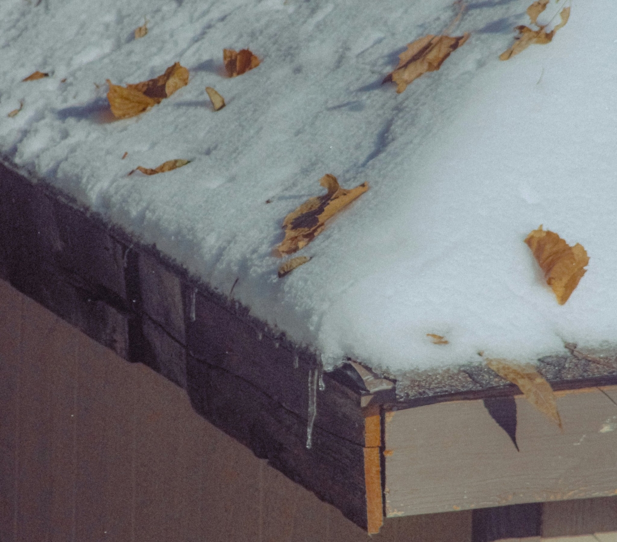 Тематическое фото unsplash.com