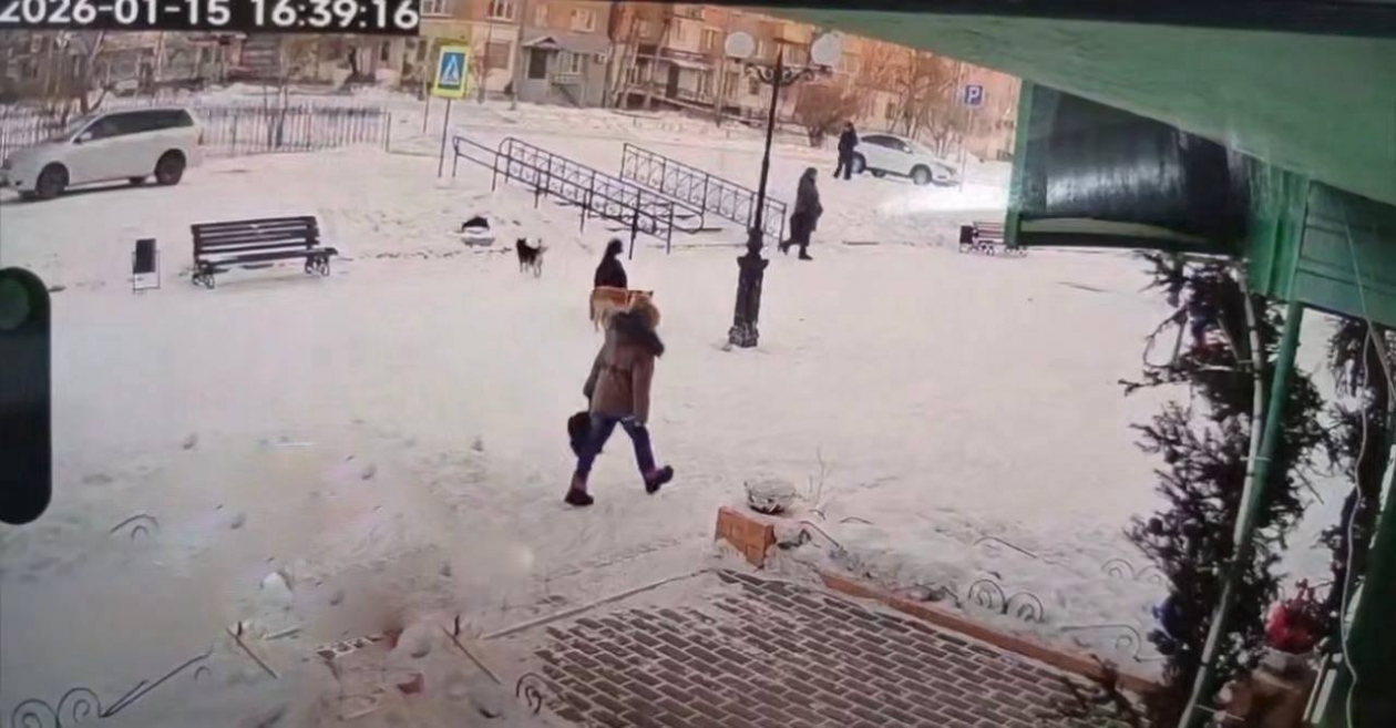 Нападение собак на школьницу в Бурятии администрация Селенгинского района