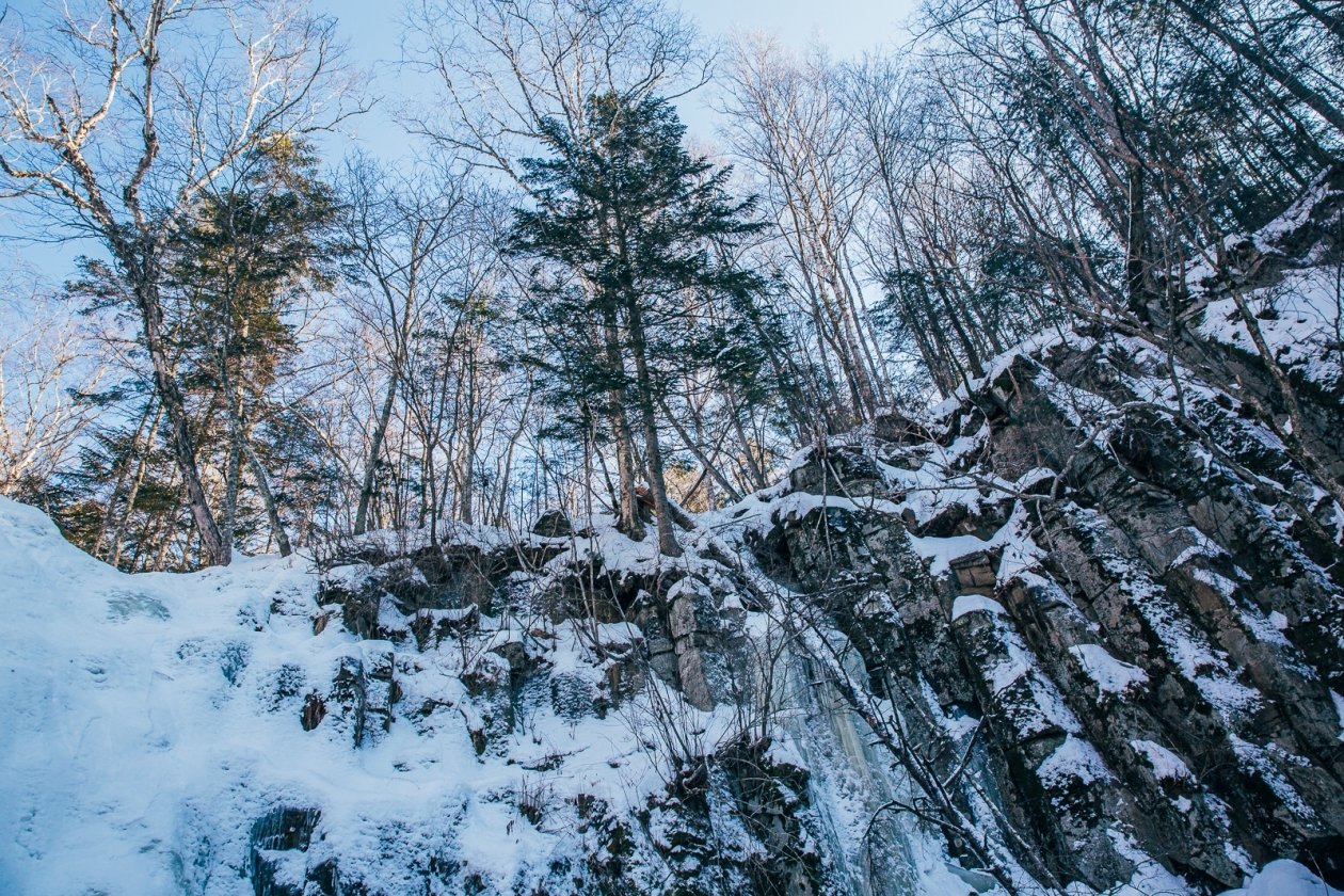 Тематическое фото ИА PrimaMedia