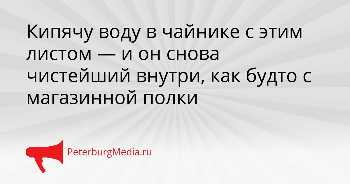 Кипячу воду в чайнике с этим листом — и он снова чистейший внутри, как будто с магазинной полки Сгенерировано