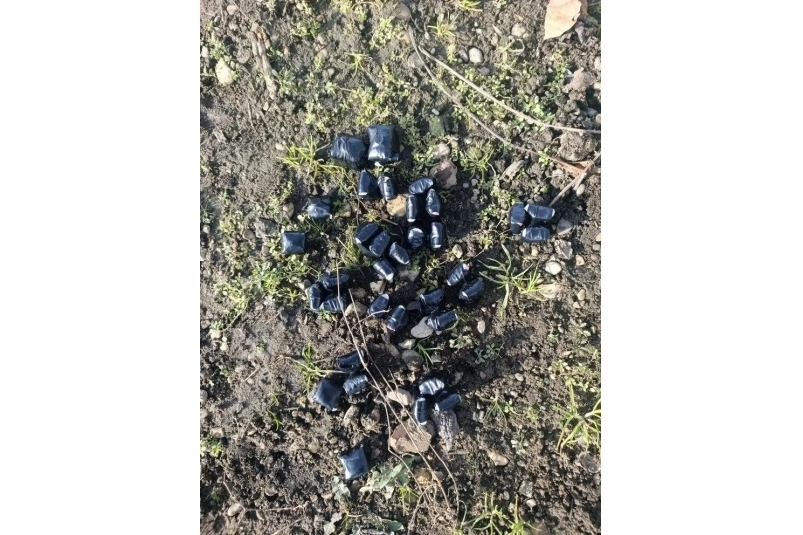 Африканец при виде полиции в Пятигорске выбросил 36 свертков с наркотиком ГУ МВД по Ставрополью