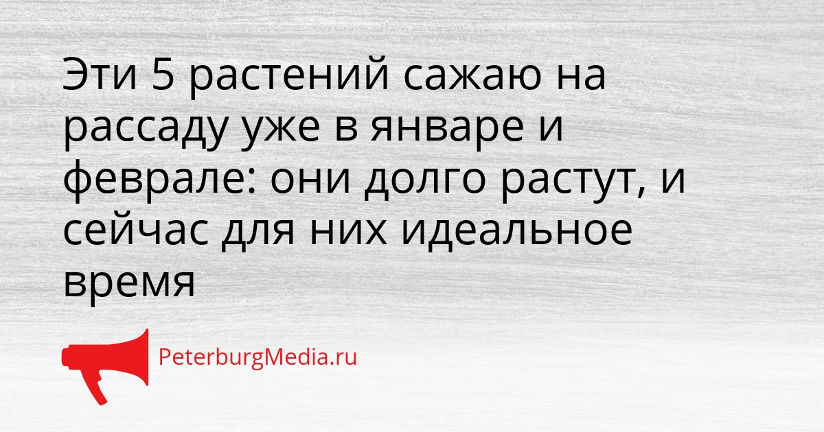 ​​​​​​​Эти 5 растений сажаю на рассаду уже в январе и феврале: они долго растут, и сейчас для них идеальное время Сгенерировано