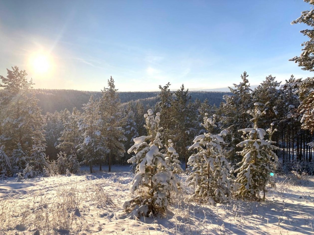 В выходные в Якутске &quotпотеплеет&quot до - 32° днем ИА YakutiaMedia