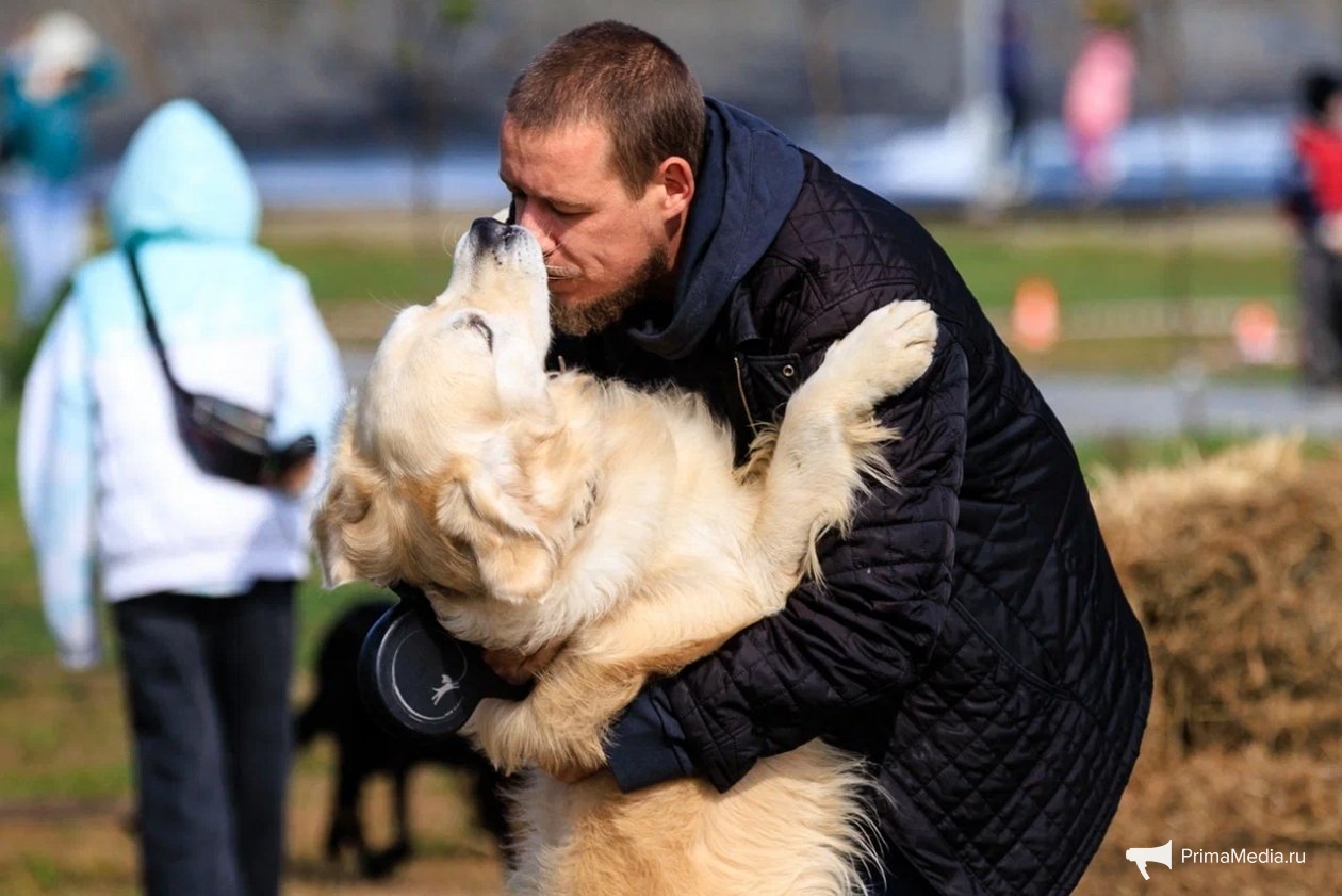 Собака - лучший друг человека. ИА PrimaMedia