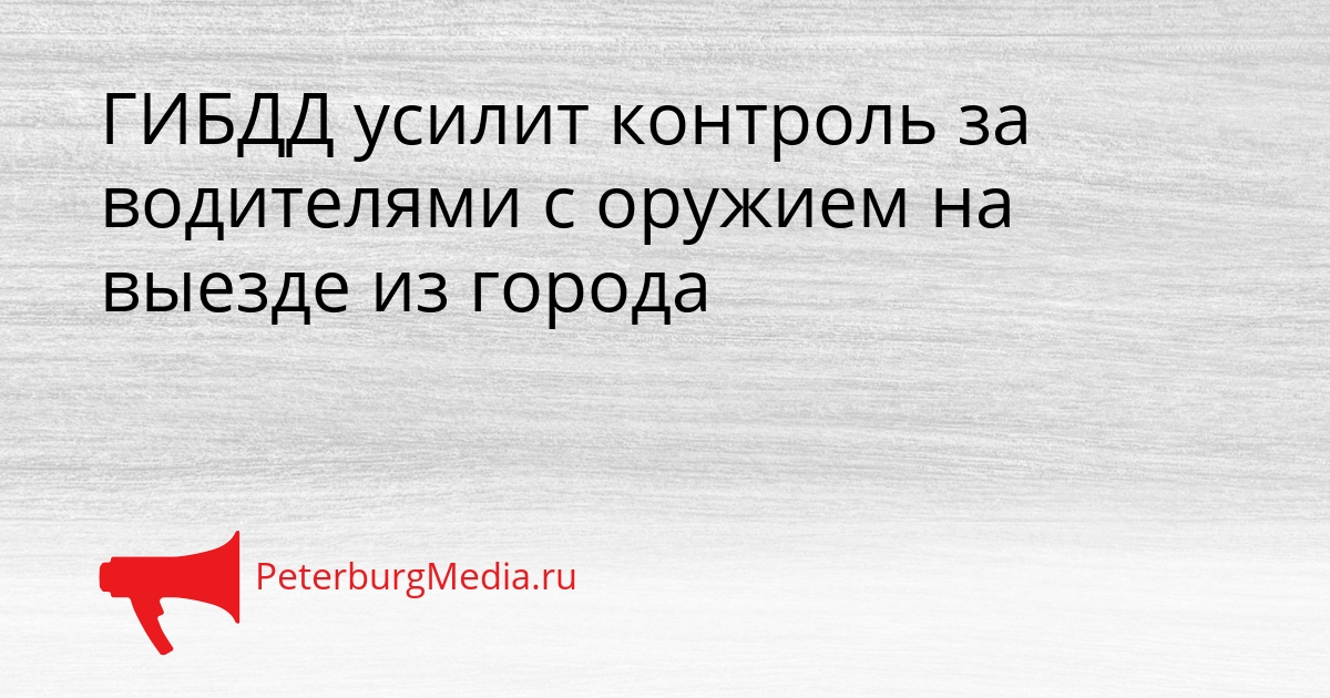 ГИБДД усилит контроль за водителями с оружием на выезде из города Сгенерировано