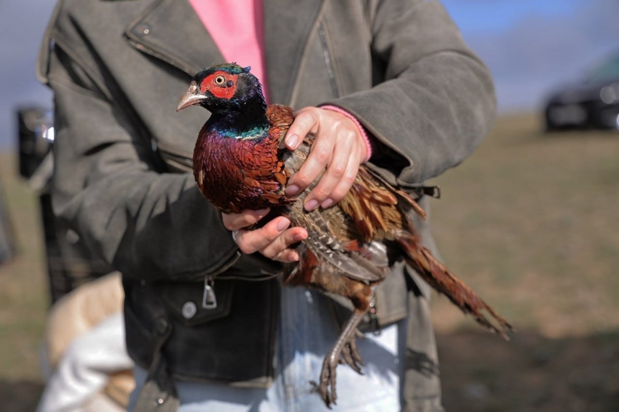 Соцсети О. Шевцовой