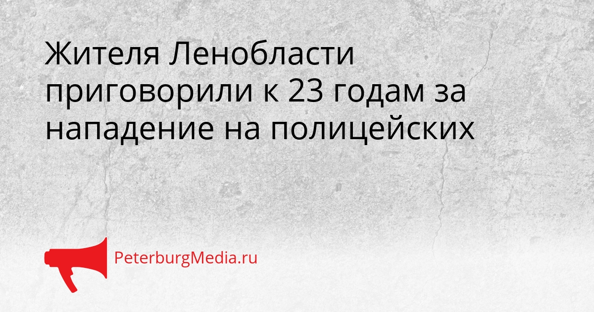 Жителя Ленобласти приговорили к 23 годам за нападение на полицейских Сгенерировано
