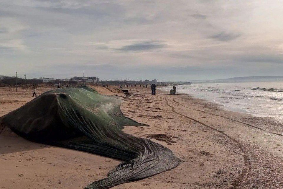 На кубанском Причерноморье за 13 месяцев очистили 3 тысячи км береговой линии Оперштаб Краснодарского края